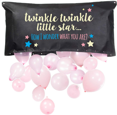Gender Reveal Balloon Drop Bag | Twinkle, Twinkle Little Star...