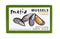 Matiz España Mussels in Extra Virgin Olive Oil & Apple Cider Vinegar | 3.92 oz. - 1 Pack | Handcrafted in Galicia, Spain | Sustainably Cultivated ...