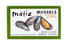 Matiz España Mussels in Extra Virgin Olive Oil & Apple Cider Vinegar | 3.92 oz. - 1 Pack | Handcrafted in Galicia, Spain | Sustainably Cultivated ...
