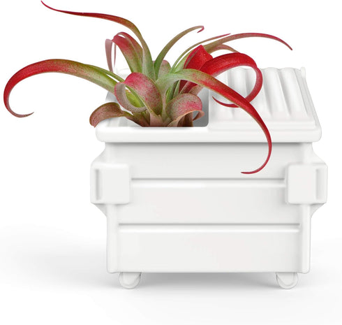 Genuine Fred Fancy Plants Air Plant Holder, Dumpster (5280962)...