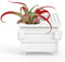 Genuine Fred Fancy Plants Air Plant Holder, Dumpster (5280962)...