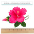 Global Sugar Art Hibiscus Sugar Cake Flowers Spray, Hot Pink Hawaiian Cake Flower Large, 1 Count by Chef Alan Tetreault...