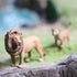 Gemini&Genius 2Pcs Lion Toys for Kids, Safari Lion Animal Toy Figures, Wildlife Family Lions Action Figures, Great for Educational Toys, Party Fav...