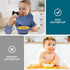 100% Silicone Baby Feeding Set,BPA Free Baby Dishes Set with Suction Bowl Divided Plate,Toddler Self Feeding Dish Set with Spoons Forks Sippy Cup ...