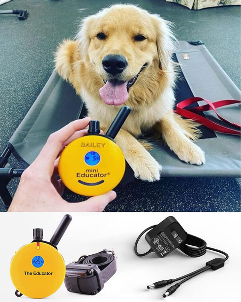 Training Collars Charger compatible with Educator Series 300, 400, RX, FOB and BP-504 Barkless Training Collars....