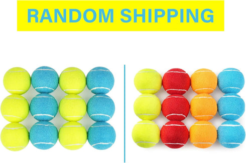 PrimePets Tennis Balls for Dogs, 2.5 Inch, 12 Pack, Squeaky Dog Toy, Interactive Pet Fetch Ball for Medium and Large Dogs, Squeaky Dog Toys (Rando...