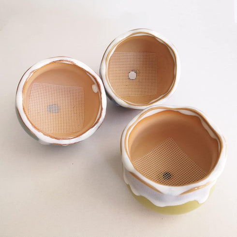 50 Packs 4 Inch Flower Pot Hole Mesh Pad, Plastic Mesh Screen Bonsai Pot Bottom Drainage Hole Grid Mat Mesh, Plant Succulent Pot Planter Drainage ...