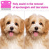 5 Pieces Dog Flea Comb Pets Grooming Comb Kit for Small Dogs Puppies Stainless Steel Teeth Dog Comb Tear Stain Remover Comb 2-in-1 Dog Combs with ...