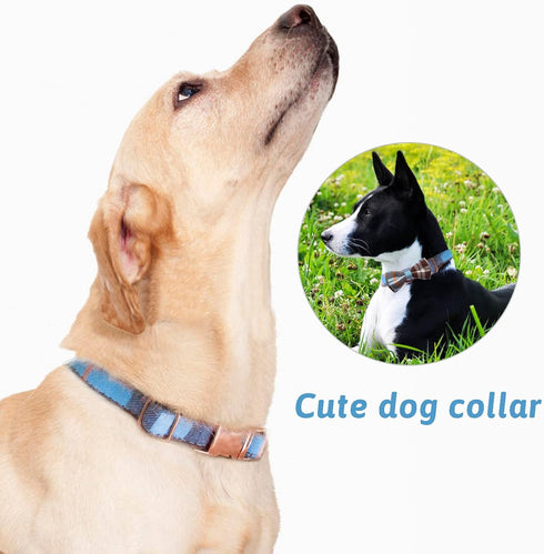 Plaid Dog Collar Leash Set Bow Tie Adjustable Cute Puppy Collar with Durable Metal Buckle Girls Boys Dog Collar for Small Medium Large Dogs Blue-M...