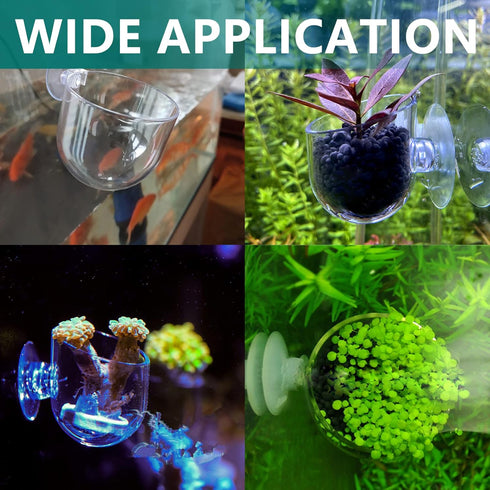 5 Pcs Plastic Aquatic Plant Pots, Aquarium Plant Pots with Suction Cups, Acrylic Aquarium Planter, Red Shrimp Live Plant Fish Tank Holder...
