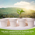 Americas 3.5" Biodegradable Plant Pots (16 Pack): Eco-Friendly Seed Starter Kit with Tapioca Starch for Nutrient-Enriched Soil...