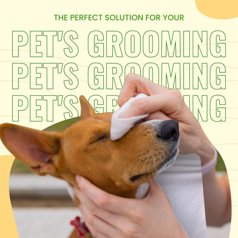 Bamboo Pet Towel 10 PCS - Reusable Bamboo Paper Towels for Dogs, Cats and Other Pets are Machine Washable Up to 5 Times | Disposable Pet Wipes for...