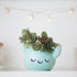 Smiley Cactus Ceramic Planter, 3 x 4 x 4 in., Exclusive Ceramic Planters for Indoor and Outdoors, Cute Hand Painted Designed in Argentina, Conveni...