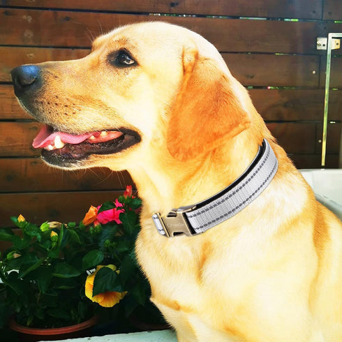 Reflective Dog Collar,Metal Buckle Soft Neoprene Padded Breathable Nylon Pet Collar Adjustable for Small Medium Large Boys Girls Dogs (White, Medi...
