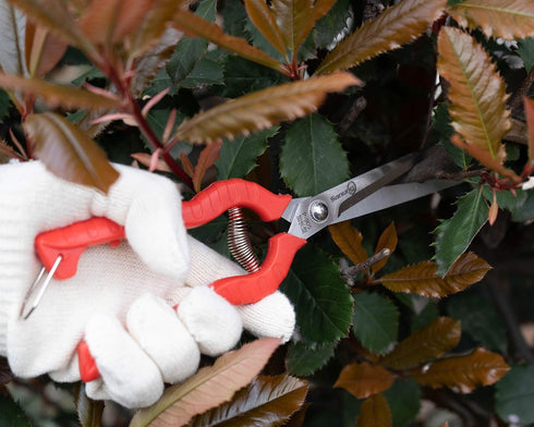 2 PACK Multifunctional Thin Fruit Scissors, P-905 Garden Pruner Shears Cutters with Anti-Slip Grip High-Grade Spring Lock Garden Pruner for Garden...