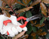 2 PACK Multifunctional Thin Fruit Scissors, P-905 Garden Pruner Shears Cutters with Anti-Slip Grip High-Grade Spring Lock Garden Pruner for Garden...
