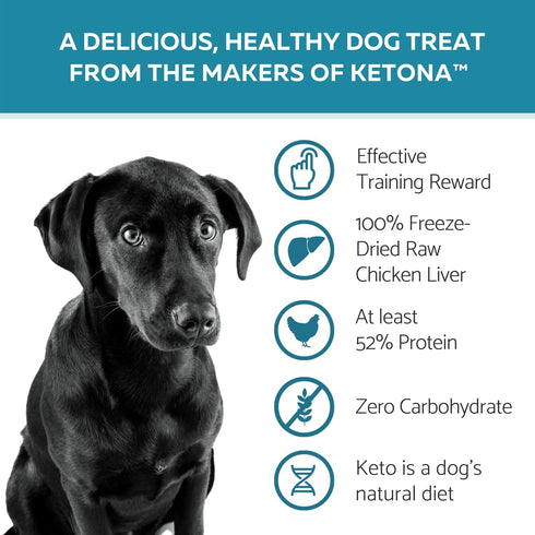 Ketona Zero Carb Chicken Liver Dog Treats - High Protein (52%), No Carb (0%), 100% Freeze Dried Chicken Liver Bites, Delicious and Healthy Treat a...