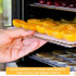 13 x 12 Inches Dehydrator Trays Compatible with CP267-FD Only Stainless Steel Dehydrator Drying Mesh Screens Stainless Steel Tray for Dehydrator D...