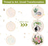 Santune 3 Pack Embroidery Kit for Beginners with Pattern, Cross Stitch Kits for Adults with Instructions,Needlepoint Kits for Adults Include 1 Emb...