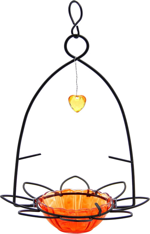 FORUP Oriole Bird Feeder, Orange Fruit Oriole feeder...