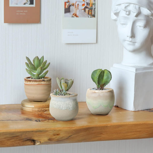 T4U Small Ceramic Succulent Pots with Drainage Set of 3, Mini Pots for Plants, Tiny Porcelain Planter, Air Plant Flower Pots Cactus Faux Plants Co...