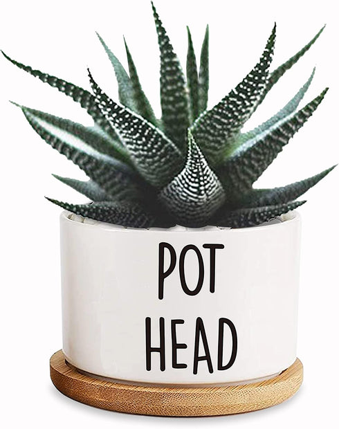 Pot Had Funny White Mini 3.5 inch Ceramic Flower Planter Pot with Drainage and Bamboo Tray, Cactus Pot, Mini Succulent Pots, Housewarming Gift for...