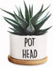 Pot Had Funny White Mini 3.5 inch Ceramic Flower Planter Pot with Drainage and Bamboo Tray, Cactus Pot, Mini Succulent Pots, Housewarming Gift for...