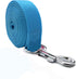 4FT/5FT/6FT Strong Dog Leash, Nylon Dog Leashes for Small Medium Large Dogs (Blue, 1 in x 15 ft)...