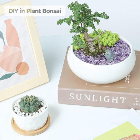 T4U Tumbled Chips Stones Crushed Crystal Quartz 1 LB, Irregular Shaped Gravels Pebbles Healing Stones, DIY Smoothed Rock for Potted Plant,Resin Ar...