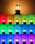 3156 Color Changing LED Bulbs, RGB S8 Wedge Base LED Light Bulb 12V 24V, Warm White+15 Multicolor for Landscape Lighting (3 Bulbs and one Remote)...