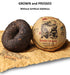Jinglong Tea Factory - Puerh Tea Tuocha Jumbo Dragon (40 Cups) Ripe Pu-erh (3.6 Ounce)...