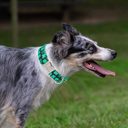 St.Patrick's Day Clover Dog Collars,Black Clover Soft Cotton with Safety Metal Buckle Adjustable Puppy Collars for Small Medium Large Boy & Girl D...