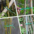 Green Soft Twist Tie Plant Tie Flexible TPR Garden Supply, for Tomatoes Roses Vines Organizing(16.4 feet/ 5 Meters)…, 16 feet...