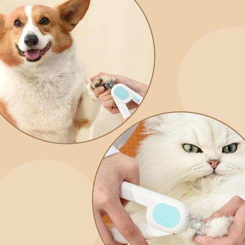 Odoland Cat Nail Clipper with LED Light and Nail File, Dog Claw Trimmer with Bright Light to Avoid Excessive Cutting - Pet Grooming Tool for Tiny ...