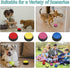 4 Recordable Buttons with Rubber Mat and 25 Stickers - Record and Playback Any Custom Message to Teach Your Dog Voice What They Want...