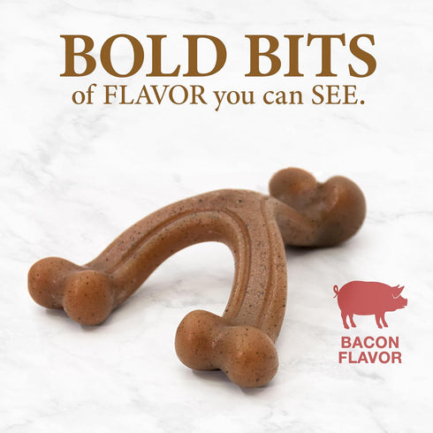 Nylabone Gourmet Style Strong Chew Wishbone Dog Chew Toy, Bacon Flavor, Small/Regular (1 Count)...