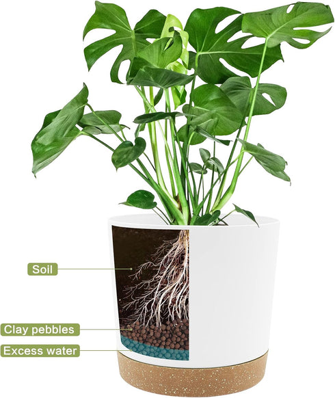 QCQHDU Plant Pots Set of 2 Pack 8 inch,Planters for Indoor Plants with Drainage Holes and Removable Base,Saucer Modern Decorative for Outdoor Gard...