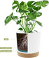 QCQHDU Plant Pots Set of 2 Pack 8 inch,Planters for Indoor Plants with Drainage Holes and Removable Base,Saucer Modern Decorative for Outdoor Gard...