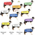 FRIENDLY Green Color Coded 2 4 6 Foot Padded Dog Leash (Known As Friendly) PREVENTS Accidents By Warning Others of Your Dog in Advance (Standard L...