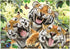 Anatolian Puzzle - Tiger Selfie - 260 Piece Jigsaw Puzzle #3332, Multicolor...