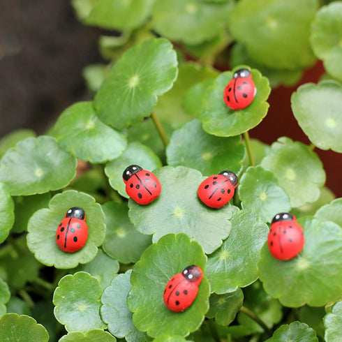 20-Piece Set: Seven-Spot Ladybug Décor - Wooden Handcrafted Simulation Beetle Garden with Realistic Ladybug Insect Miniature Sample Model - Yard, ...