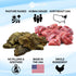 Max and Neo Freeze Dried Chicken Liver Dog Treats - Single Ingredient, Pasture Raised, Antibiotic Free, Human Grade Chicken Grown in The USA - We ...