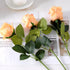 20PCS Floral Wire Stem with Leaves and 20PCS Artificial Flower Calyxes Set, for Floral Rose Arrangement, DIY Craft Bouquet Making, and Florist Sup...
