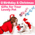 Dog Rope Toys Chew Rope Toy for Medium and Small Dogs Cat Puppy Teeth Cleaning Natural Cotton Dog Pull Rope for Interactive Tug of War Funny (Smal...
