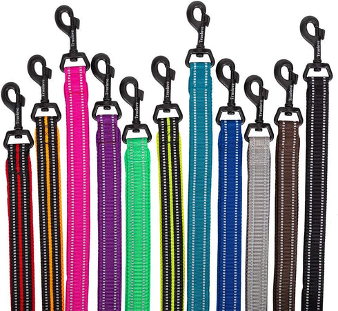 Reflective Dog Leash .Pet Leash for Medium to Large Dogs Outdoor Adventure and Training Fuchsia...