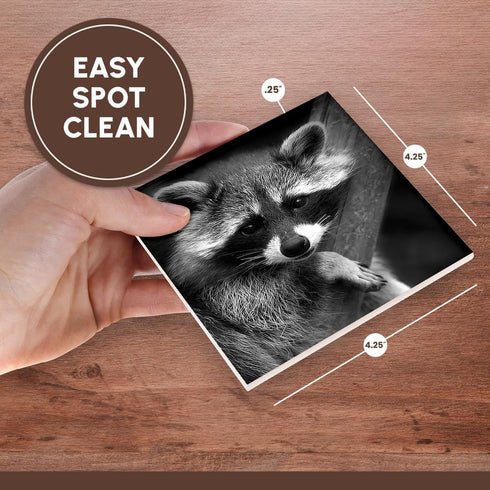 3dRose CST_173001_3 Baby Raccoon Black and White Digital Image Ceramic Tile Coasters, Set of 4...