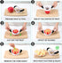 SCHVUBENR 3.5 Inch Apple Slicer - Professional Apple Cutter - Stainless Steel Apple Corer - Super Sharp Apple Slicer and Corer - Apple Tool with 8...