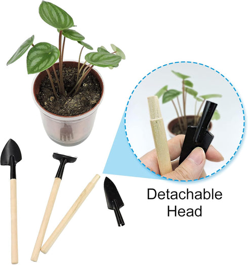 Andiker Mini Gardening Tools, 3pcs Portable Garden Hand Tools Set, Miniature Gardening Rake Trowel and Shovel for Seedlings, Bonsai, Succulents, H...