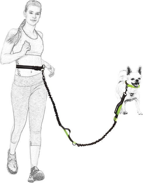 Mile High Life | Retractable Hands Free Dog 7FT Leash | Waist Running Adjustable | Reflective Dual Black Bungees | Dual Handles | Small Medium Lar...