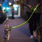 Nitey Leash - LED Glow in The Dark Pet Dog Leash (Green)...